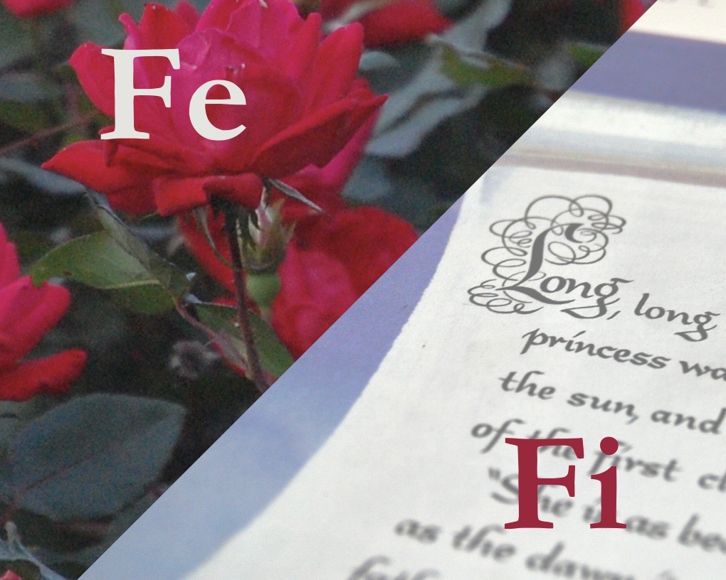 Upper left diagonal shows a red rose with the letters "Fe." Lower right diagonal has calligraphy on a scroll with the letters "Fi."